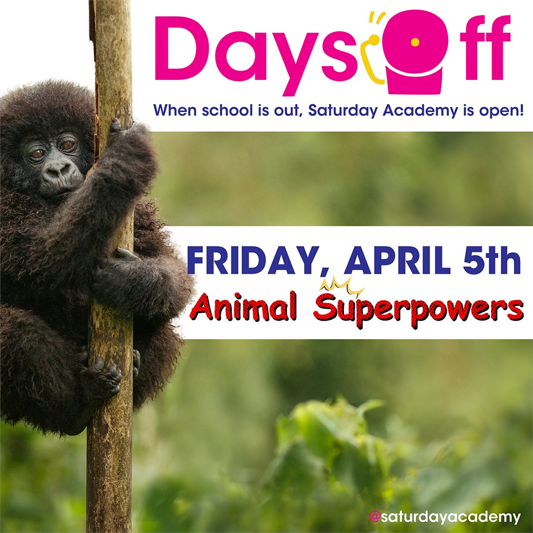 saturdayacademy's tweet photo. Join us for an #immersive exploration of the Animal Kingdom!

Days Off! #Animal Superpowers takes place Friday, April 5th on the University of Portland Campus. Register by March 22nd here: https://t.co/T4czcOYcg4 https://t.co/b1Fa5VdDXh