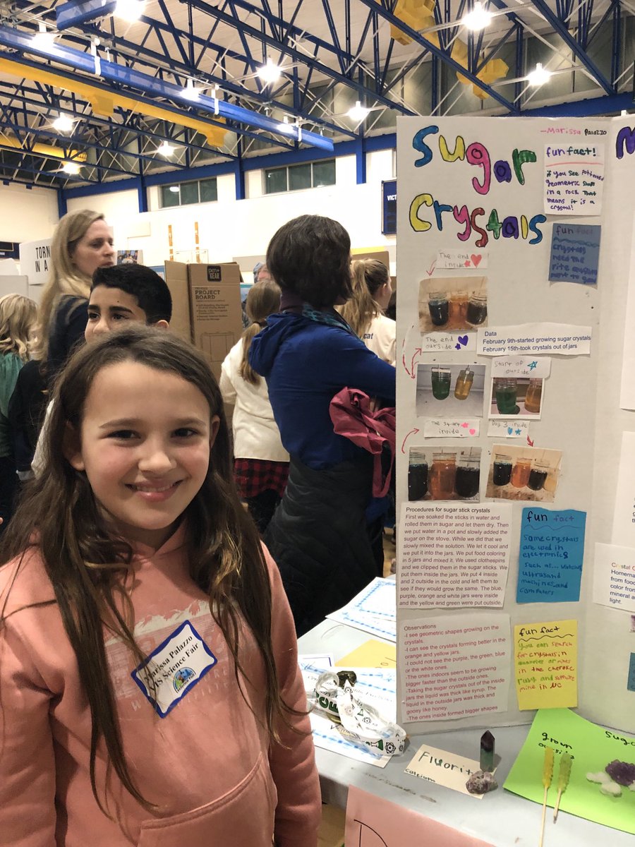 The VIS science fair NEVER disappoints!  From models of the solar system to crystal formation and plant-tactic experiments- there is something for everyone!  Congrats to our budding scientists! ⁦@Ashley_Socola⁩ ⁦@VictorCSD_Super⁩ ⁦@VictorSchools⁩