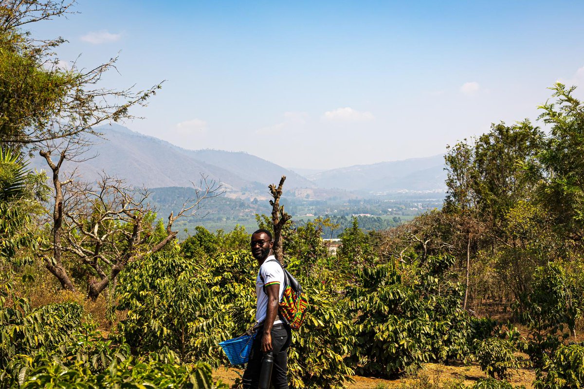 joatura_'s tweet photo. Surrounded by sights of volcanoes and ancient architecture in Antigua, Guatemala 🇬🇹, I'm celebrating the 67th independence day of Ghana 🇬🇭.

As a global health and dev't ambassador, I encourage countries to explore areas of diplomatic ties from health to agriculture to tourism. https://t.co/F9pHhAcNvW