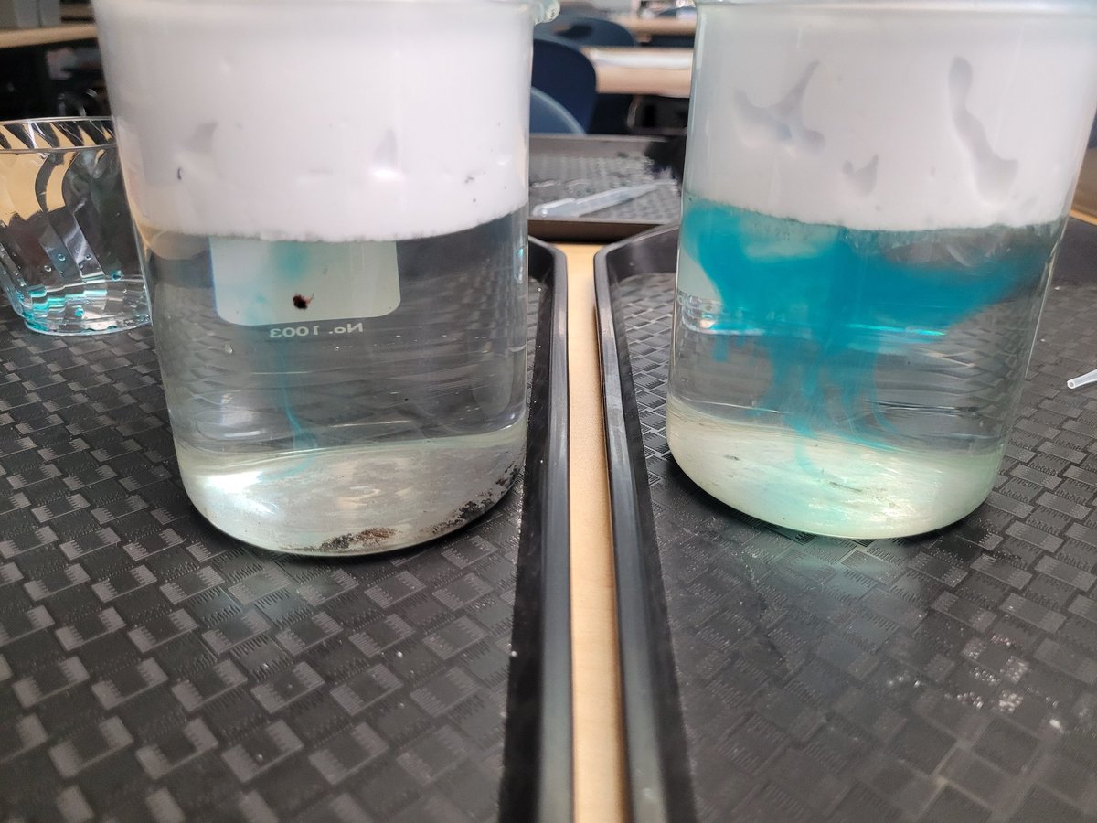 MsCooperatCraik's tweet photo. 2nd graders are experiencing the simulation for creating precipitation using shaving cream and food coloring. Putting the two together creates rain under the cloud. One just showed a small shower.😉 https://t.co/MnW9UOQvFR