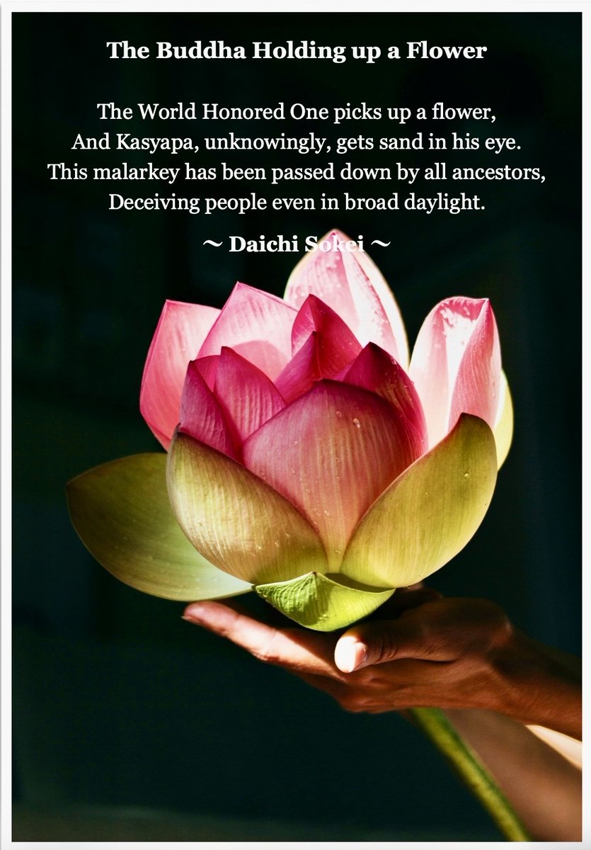 （transl. by Rev.Hojun Szpunar）
#sotozen #buddha #japan #temple
#仏教 #曹洞宗 #禅 #みおしえ #釈尊 #🙏