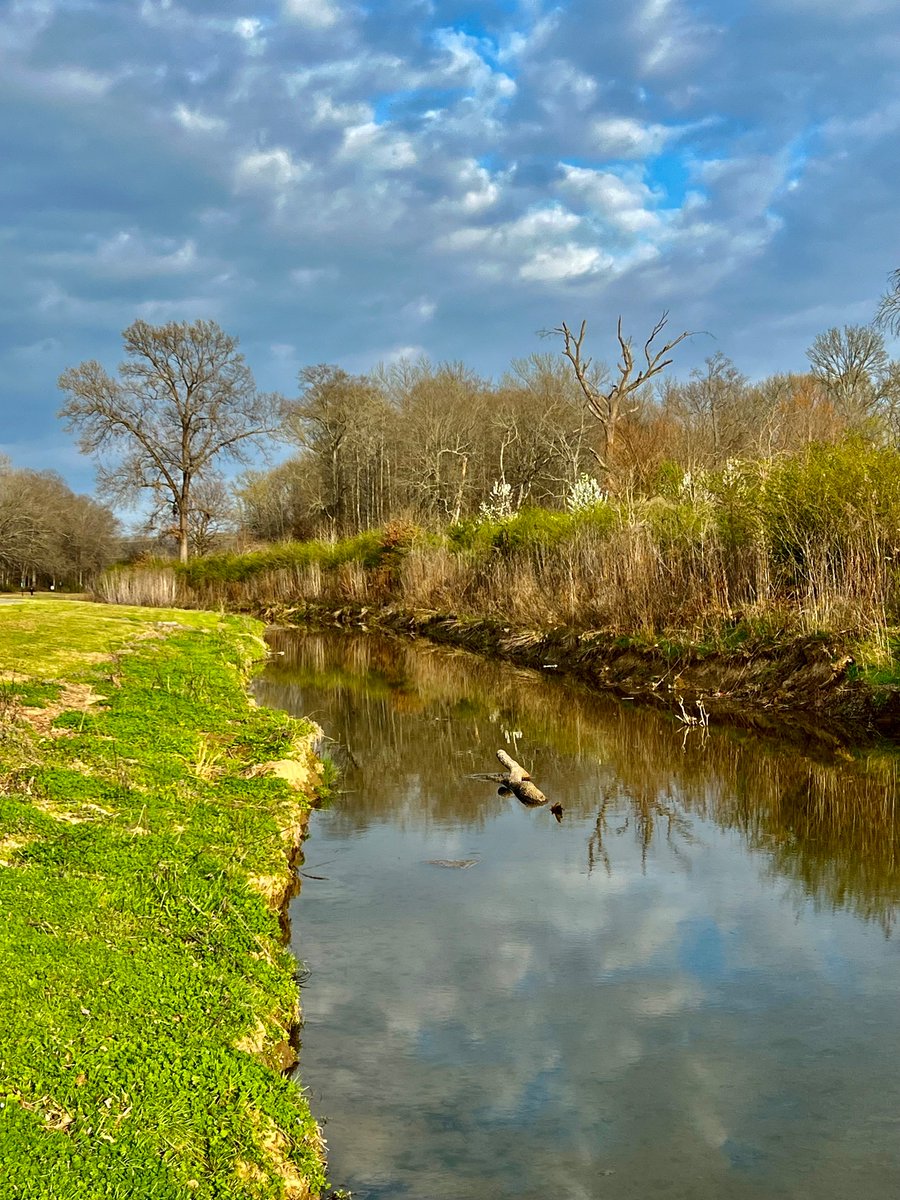 It’s been another beautiful day on the city trails. It’s in the mid 60’s and I have Matchbox 20 on my playlist. The Bradford Pears are so pretty but boy do they stink.😷 I hope everyone has had a great hump day. #hiking #spring #photograghy