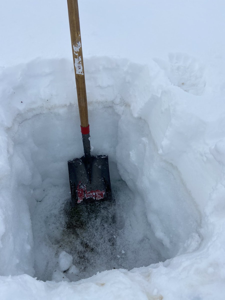 2-3 ft average still on the level. 97 days covered, 007XL be like 🥱 see you in April 😴