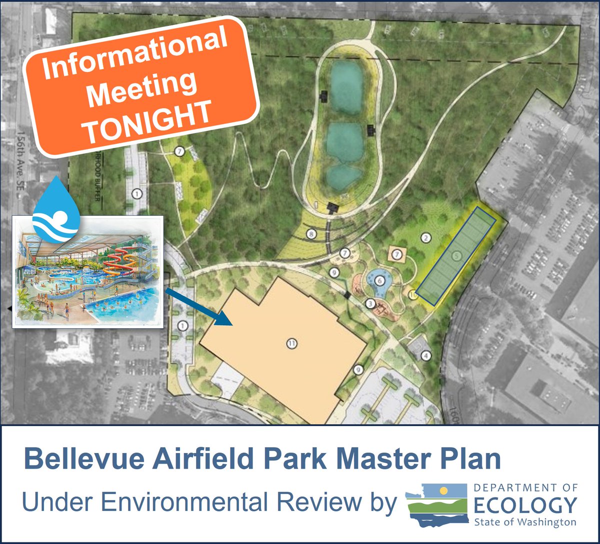 SplashForward tweet media