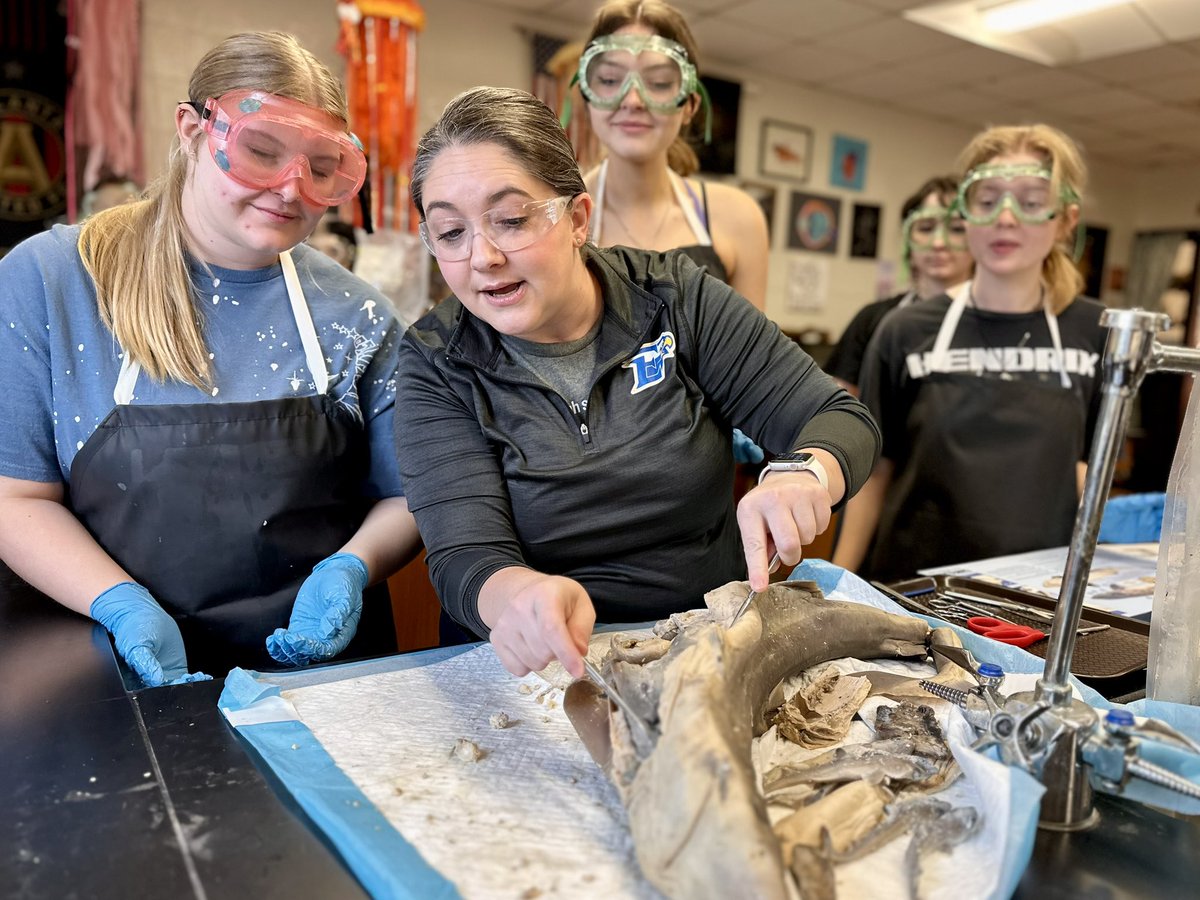 Lisa Funderburk tweet media