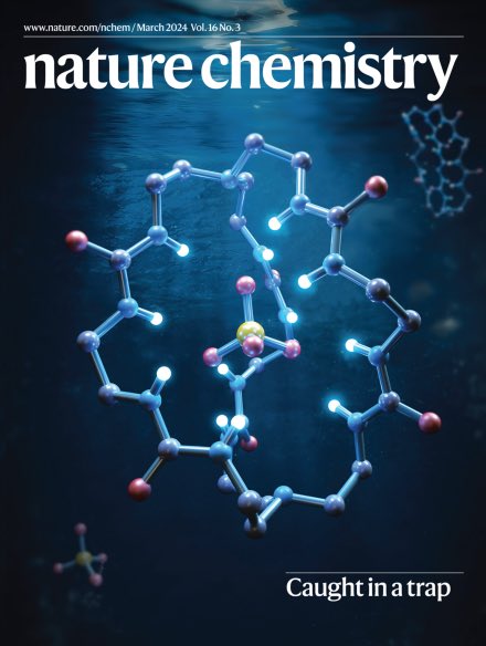 On the cover of the March issue of @NatureChemistry is a crystal structure of our cage determined at @ausynchrotron Thanks Bohren and Tulsi for designing the cover, and @JackKClegg group for taking me to the Synchrotron! @DeplazesEvelyne @UQ_SCMB @xmuchina #Ozchem