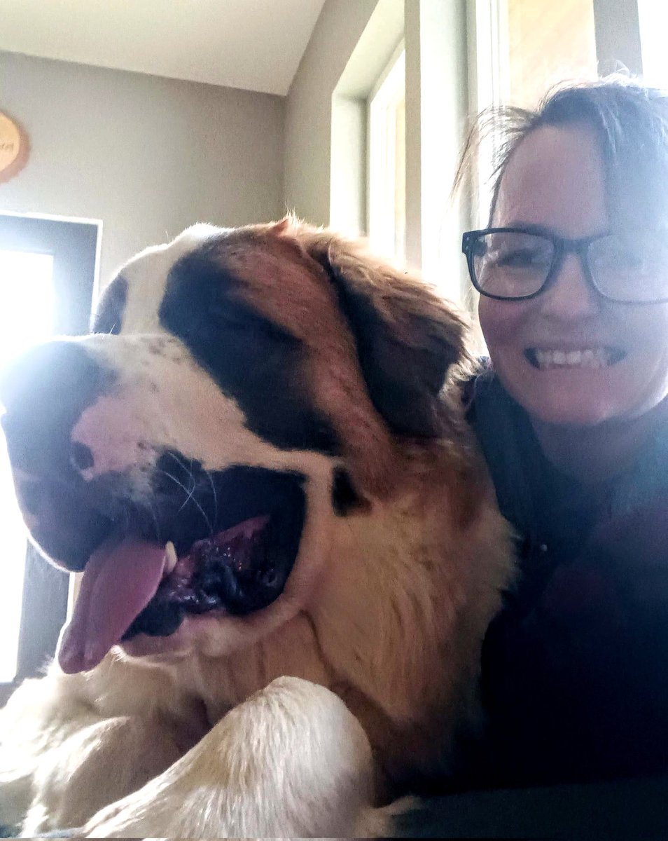 introvertedpnw's tweet image. Giant cheeeeeeese