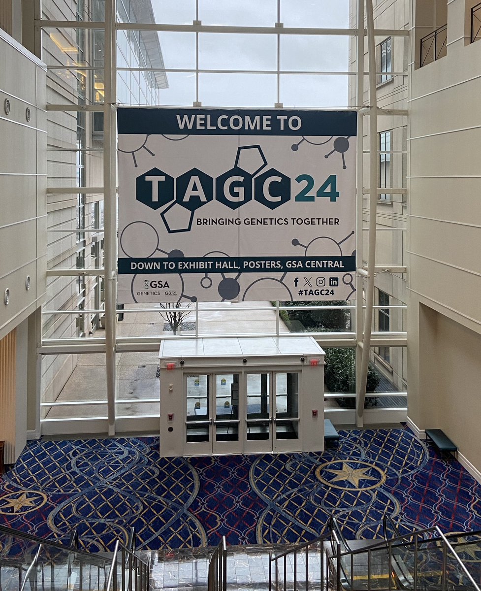 Randi_R_A's tweet photo. So excited to be at #TAGC24! Already reunited with conference friends; and of course, had to do my nails with a genetics theme 🧬 https://t.co/VwqF6cXPrd