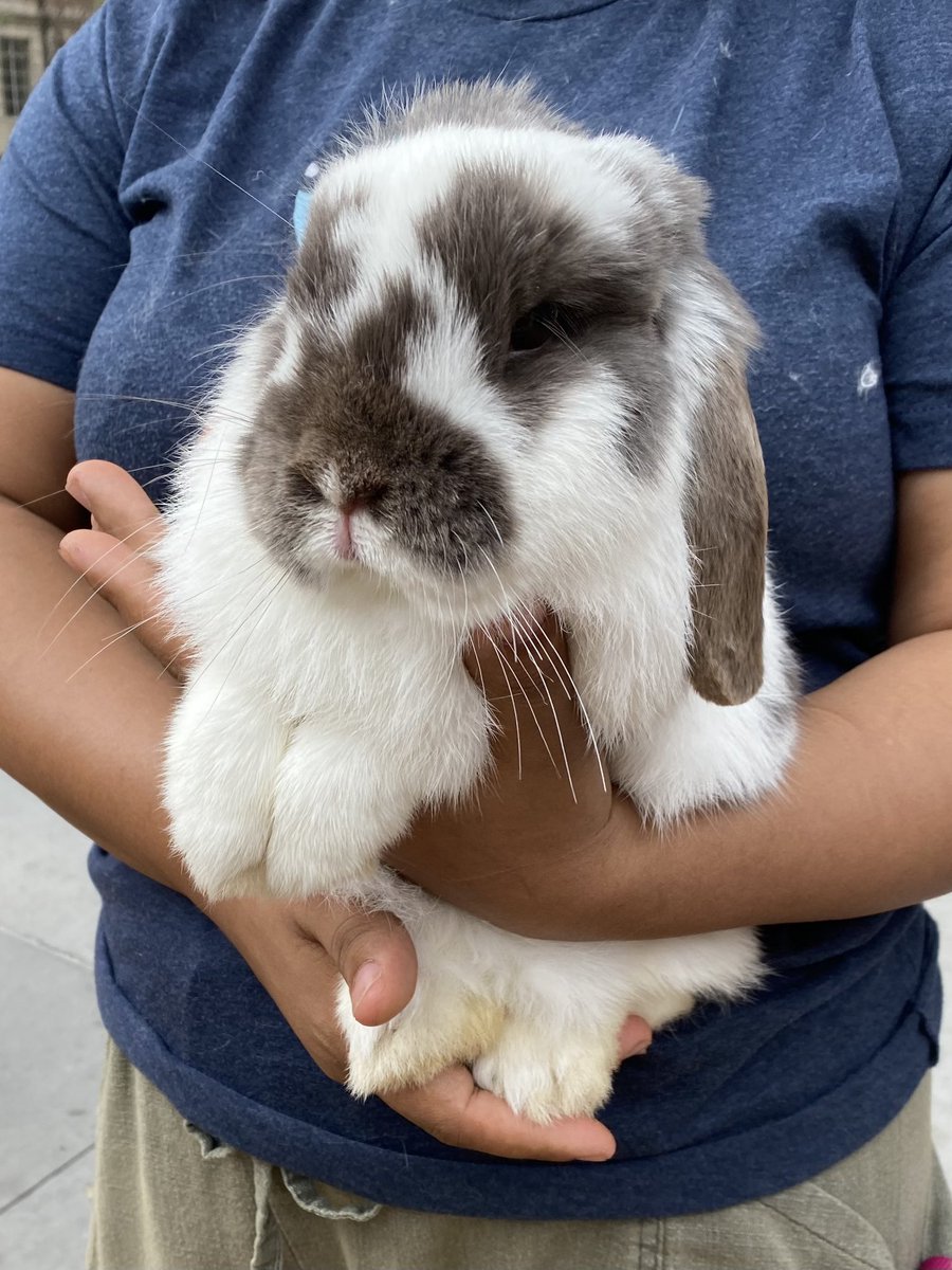 Maynard Lab tweet media