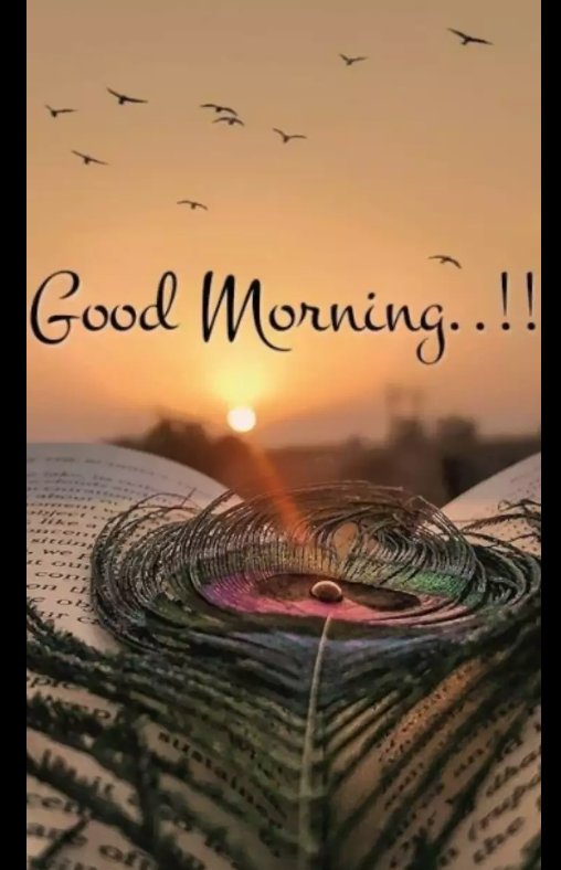 “Life is too short to wake up with regrets. So love the people who treat you right, forgive the ones who don’t, and believe that everything happens for a reason.” Assalamualaikum ♥️ Good morning 🌅 X family ❤️ #goodmorning #Xfamily