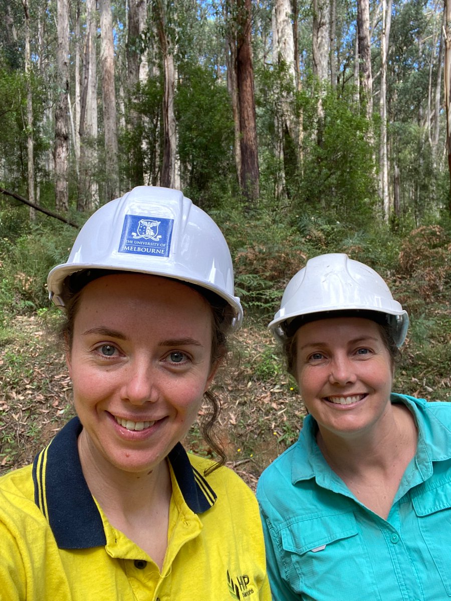 Jamie Burton (@jeeburton) on Twitter photo Fuel moisture sampling for fire behaviour prediction, <a href="/jane_cawson/">Jane Cawson</a> #InternationalWomensDay2024 Fuel moisture sampling for fire behaviour prediction, <a href="/jane_cawson/">Jane Cawson</a> #InternationalWomensDay2024