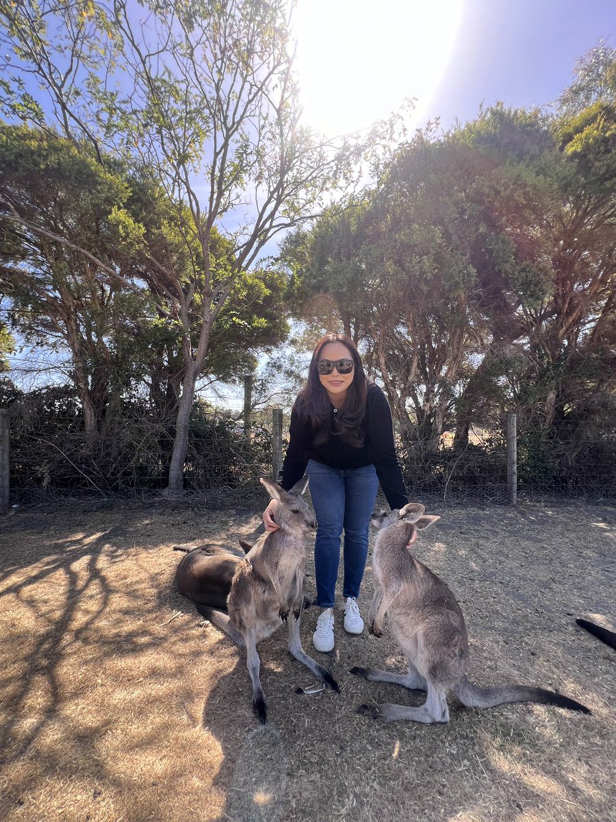 shafi_anne's tweet photo. 🦘 https://t.co/P0oDxUWrfG