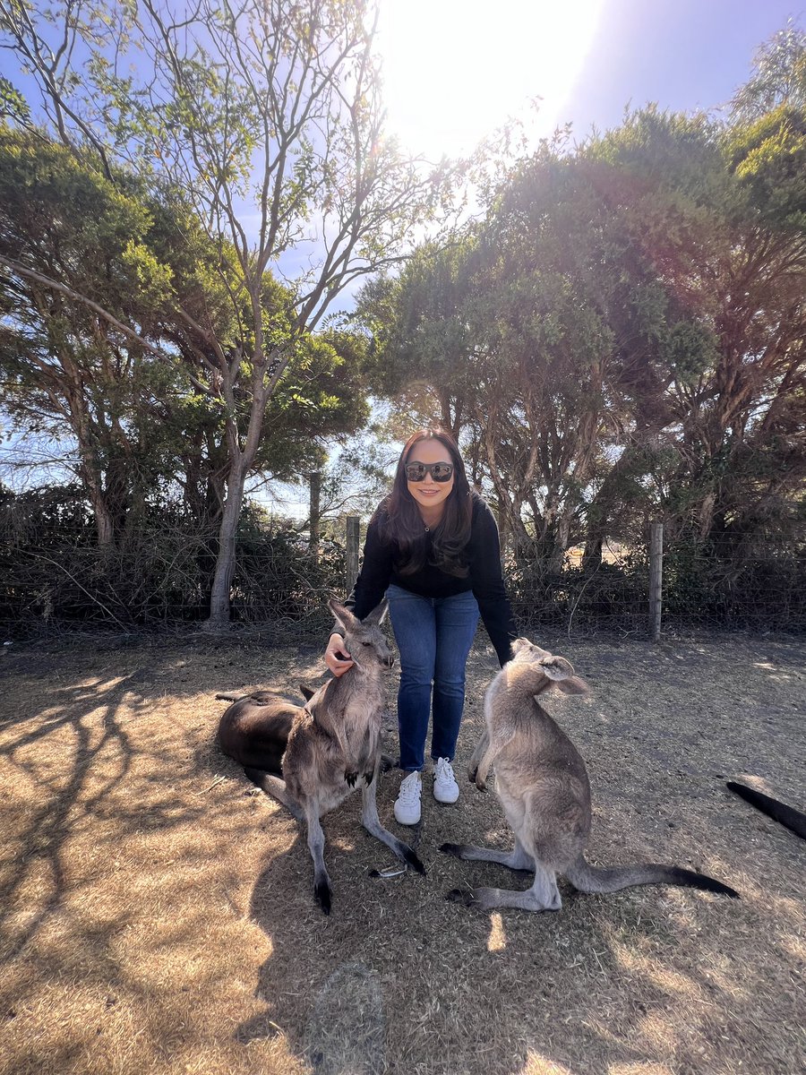 shafi_anne's tweet photo. 🦘 https://t.co/P0oDxUWrfG