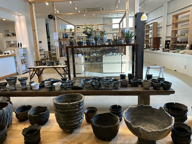 3月9日より、もえぎBASEにて『Botanical Mashiko～Plants Pot 展