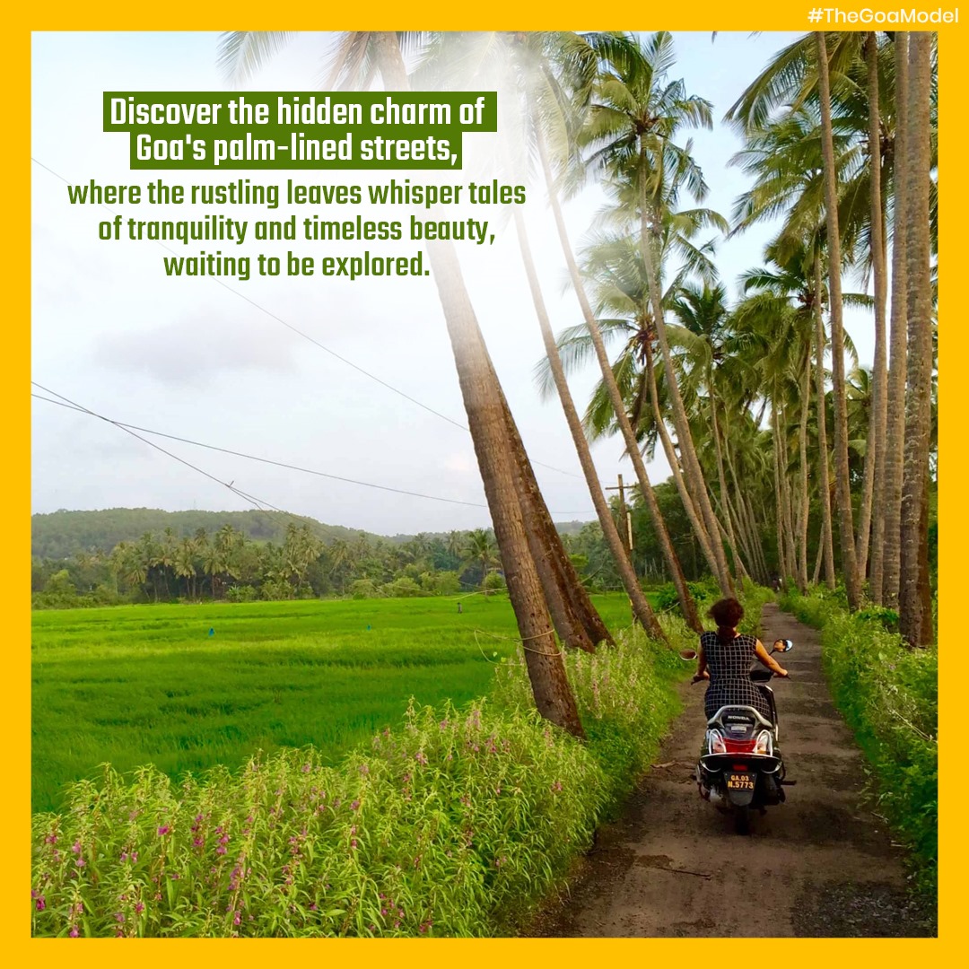 Discover the hidden charm of Goa's palm-lined streets, where the rustling leaves whisper tales of tranquility and timeless beauty, waiting to be explored.
#TheGoaModel #HiddenCharmOfGoa #PalmLinedStreets #TranquilGoa #TimelessBeauty #ExploreGoa #GoaVibes #GoaAdventure #GoaGetaway