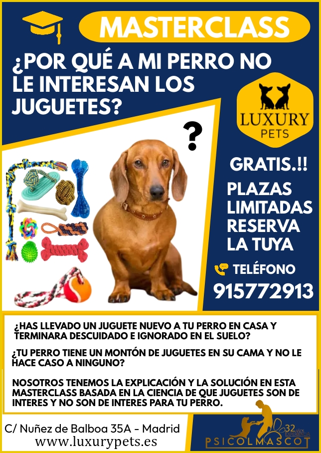 psicolmascot's tweet photo. PSICOLMASCOT: MASTERCLASS POR QUÉ A MI PERRO NO LE INTERESAN LOS... https://t.co/E64jTxYphe #psicolmascot #adiestradorcanino #adiestramientocanino #educacióncanina #etologo #etologocanino #etologiacanina #educadorcanino #perros #perrosmadrid #adiestradormadrid #etologomadrid https://t.co/uK36JOmT3F