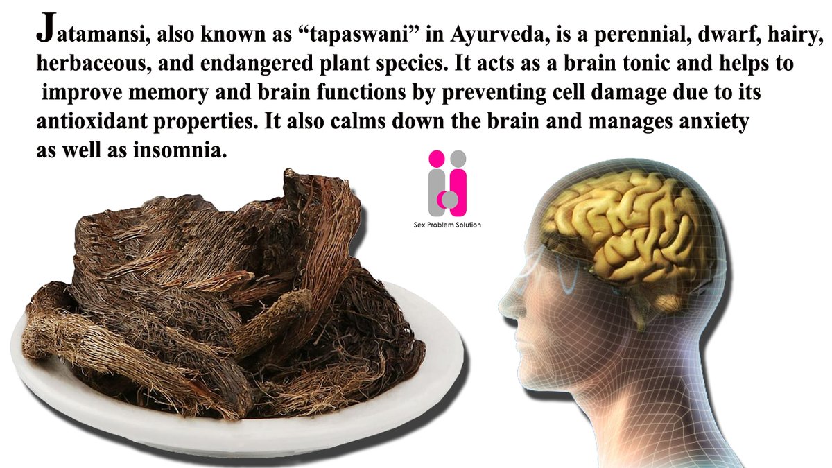 Unveiling the power of Jatamansi: An ancient herb for modern minds

Buy Herbal Products for Brain Health:- tinyurl.com/254pt2mz

#jatamansi #ayurveda #brainhealth #MemoryBoost #naturalwellness #anxietyrelief #sleepsupport