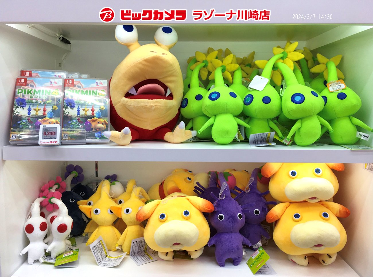 ビックカメララゾーナ川崎店【公式】💚 on X ビックカメララゾーナ川崎店【公式】💚 on X