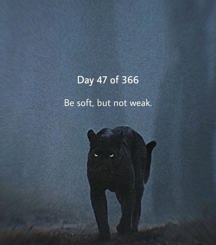 Say Yes to your self...