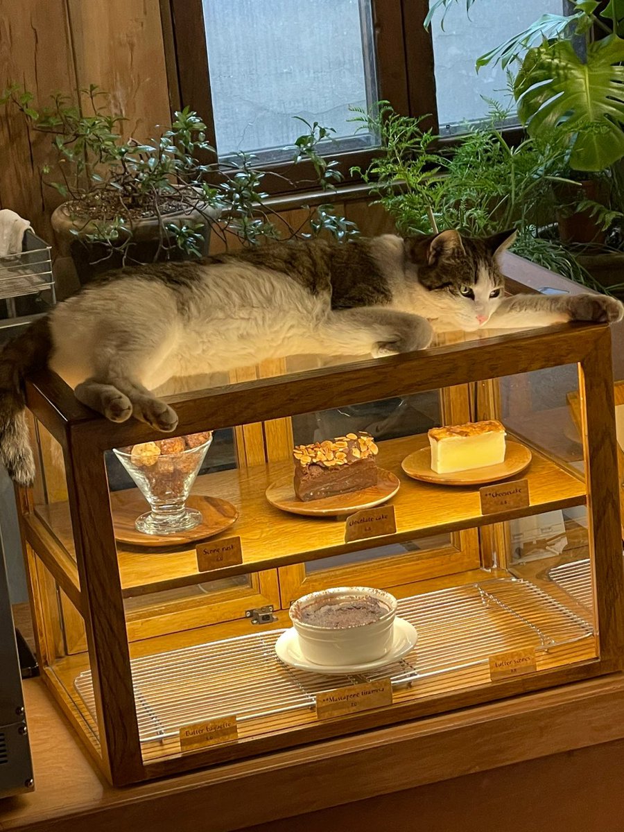 여러분 안국역 땡스오트에 가면…!!!후배가 찍어온 거 혼자 볼 수 없어서…!!!