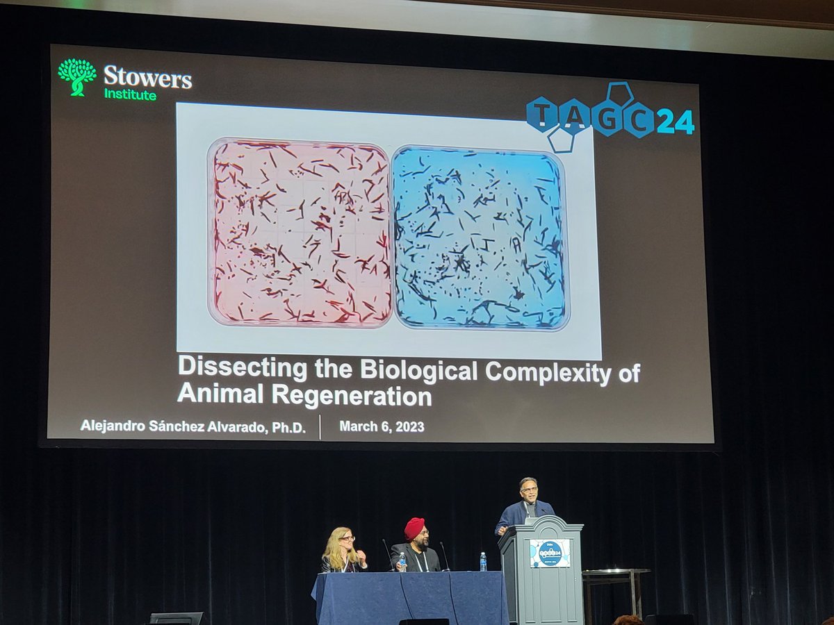 What a kickstart of #TAGC24 with a keynote talk by <a href="/Planaria1/">A. Sánchez Alvarado</a> from <a href="/ScienceStowers/">Stowers Institute</a>, where  he  talks about regeneration in different animal models.  Also he shared that  he still has hard time to convince his mother that  "he get paid to cut the animals".
