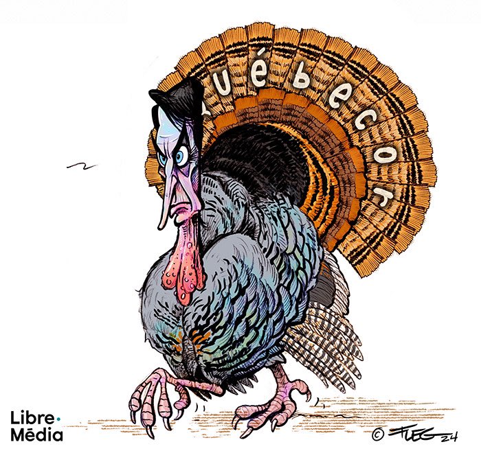 libremediaqc's tweet photo. L’actualité selon @flegcartoon. Partagez!
#dindons #PKP #GrandsEnjeux #médias https://t.co/DSSNOeM0mp