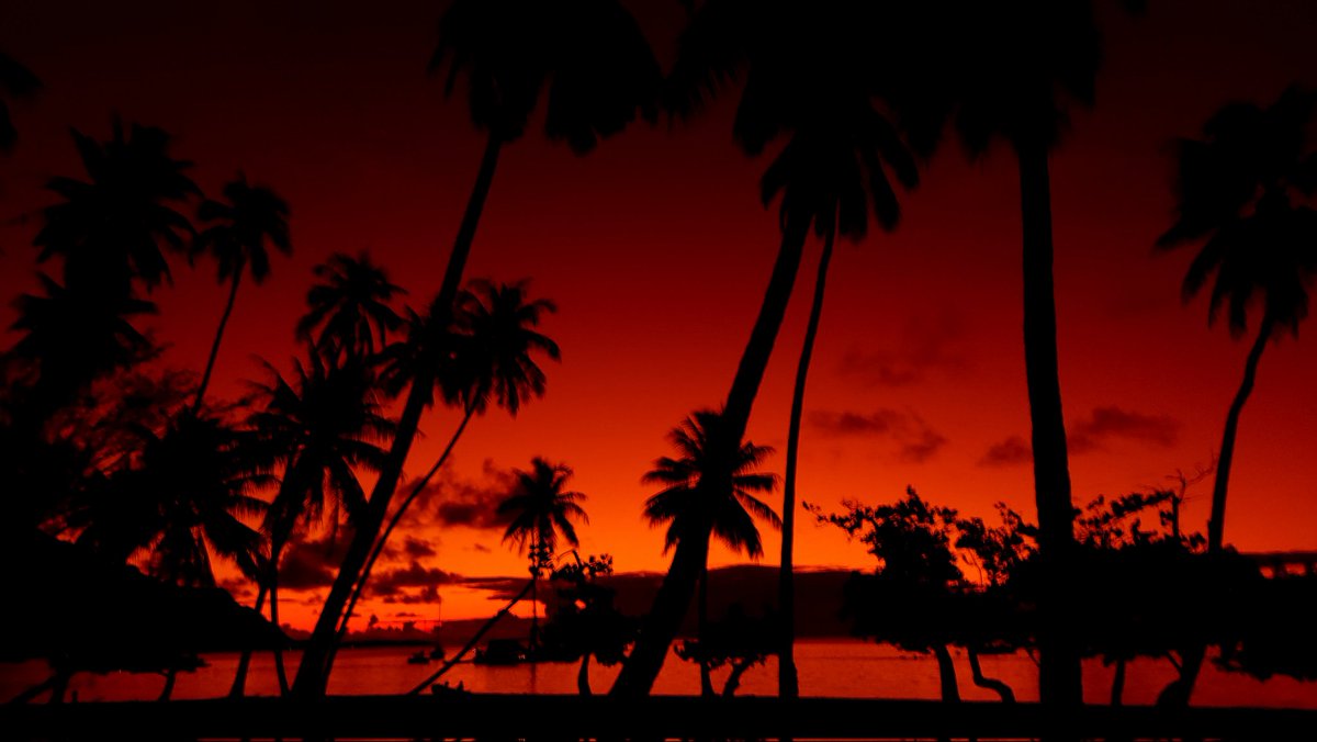 ArtNomads's tweet photo. @RoadtripC @obligatraveler @intheolivegrov1 @OdetteDunn @pipeaway_travel We're just starting tad late for the #Top4Red #Top4Theme...but y'all have great stuff that's still showing up in our feed...
1. #Moorea #sunset
2. Duh.
3. Super goopy #painting at an #artfair and we forgot the tag! 😪
4. This cute guy and his red vest in the #Uinta mountains https://t.co/ksWcyE1h7P
