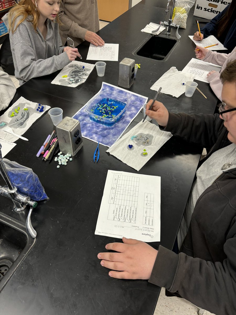 NorthScience's tweet image. Exploring Darwin&apos;s principles of natural selection today in Mr.Silvestri&apos;s Biology class. #mtpssci #mtpspride