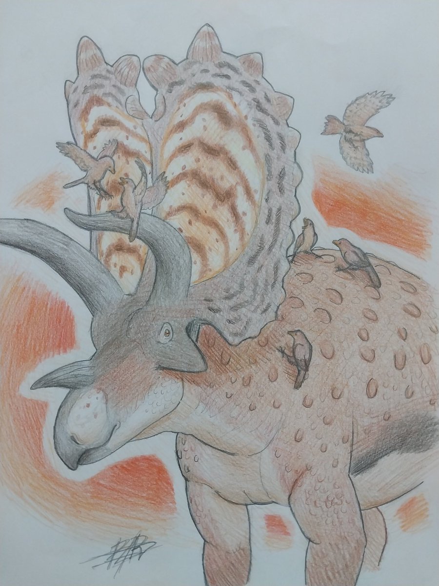 Navajoceratops with some undetermined oxpecker-like birds