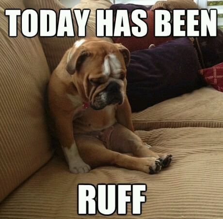 PhuckTheLefties's tweet image. Had a #shit day :( 
I really need some #cheering up 🥴😭😓