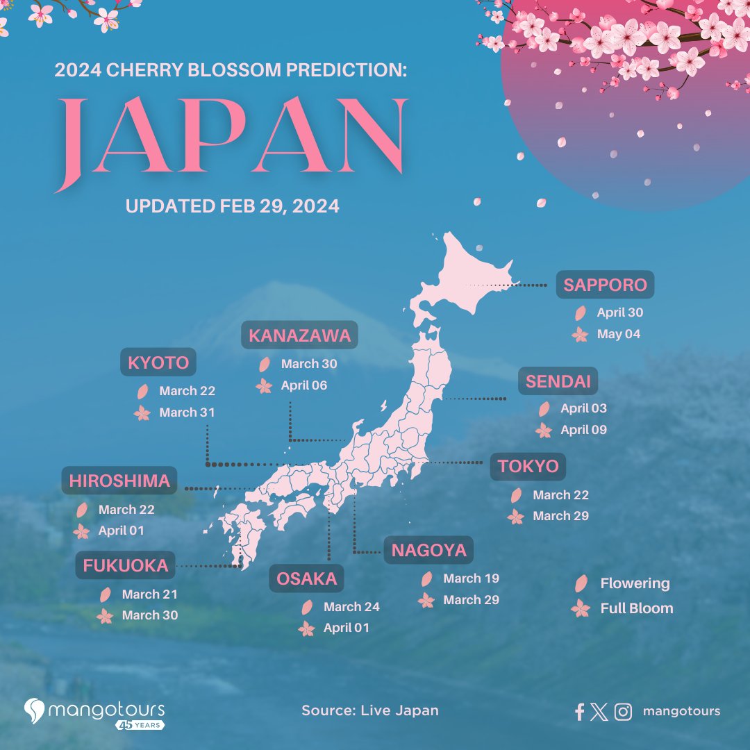 mangotours's tweet photo. Mark your calendars and get ready to stroll under the majestic pink canopy of cherry blossoms in Japan! 🌸 #JapanBound #MangoToursTakesYouThere https://t.co/HOBt6wKvzW