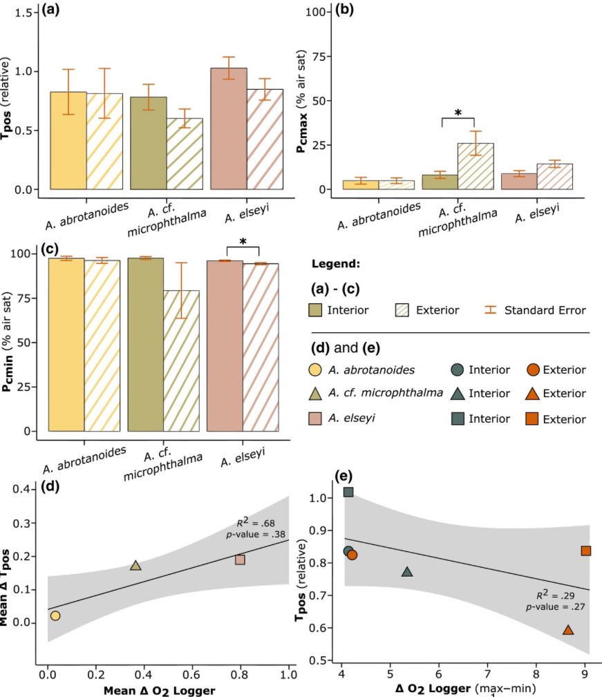 My 1st PhD chapter is out! 🚨 We Investigated intra-colony spatial variation of Acropora oxyregulation capacity 🪸 evaluating parameterisation of Hypoxia Response Curves, fragmentation stress effects, &amp; hypoxic thresholds for key coral species