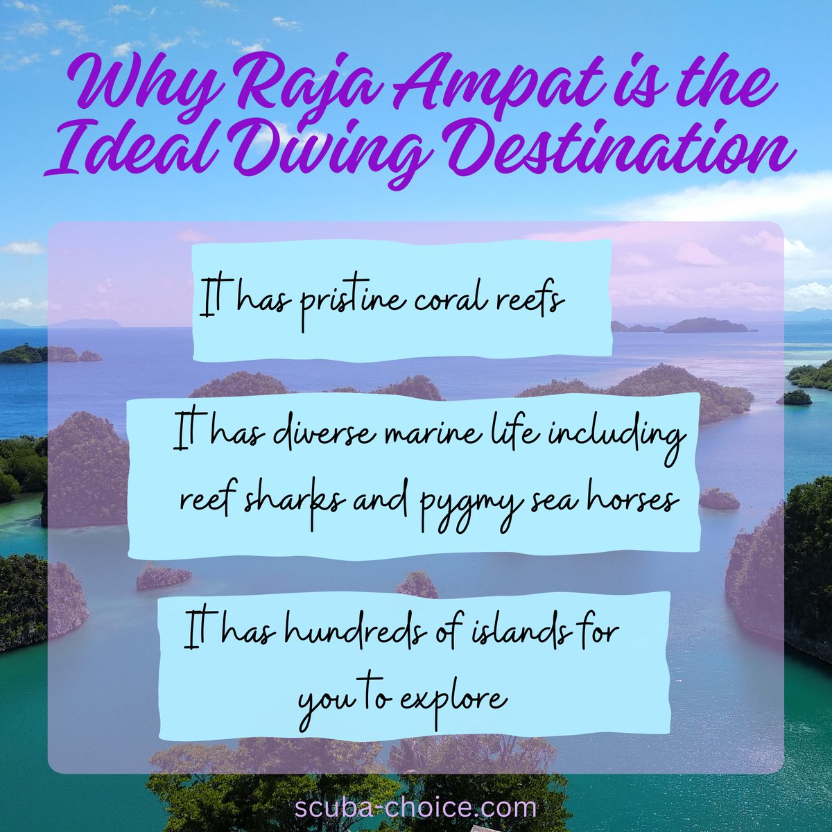 Indonesia has many excellent spots for scuba diving, but Raja Ampat stands out because of its
diverse marine life and breathtaking views. Add it to your list of dream diving destinations today!

#scubadiving #indonesiadiving #divingdestinations