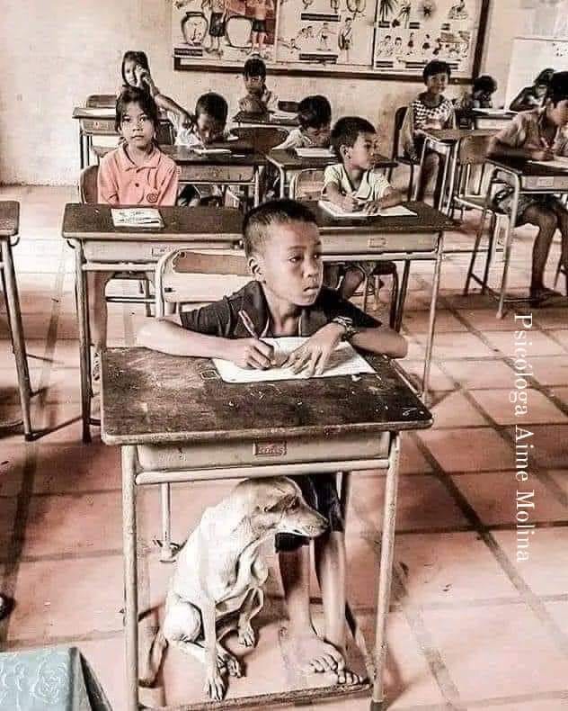 “El primer día de clase, la maestra doña Tomasa les dijo a sus alumnos de quinto grado, que ella siempre trataba a todos por igual, que no tenía preferencias ni tampoco maltrataba ni despreciaba a nadie. Muy pronto comprendió lo difícil que le iba a resultar cumplir sus palabras.