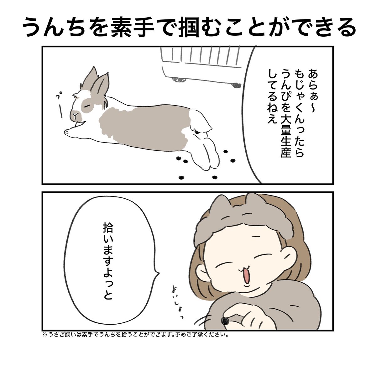 うさぎ飼いあるある🐰 コロコロうんちなら平気なんだけど笑😆 よかっ
