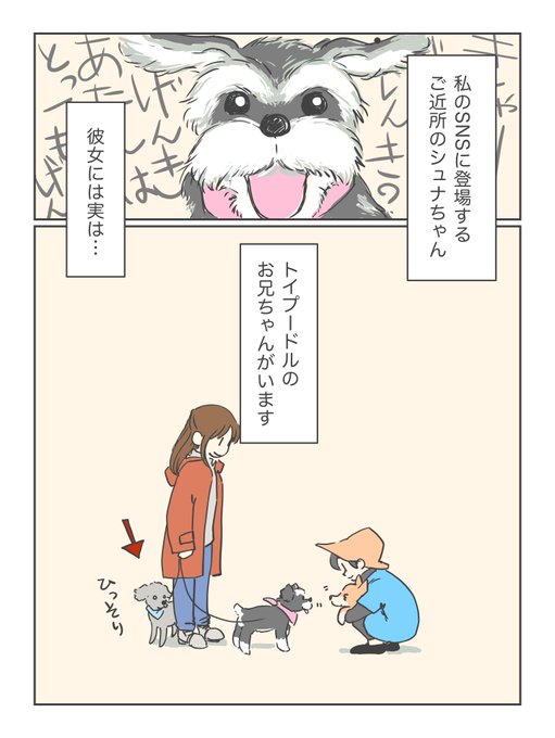17年一緒に暮らしたワンコを亡くした直後、ご近所のワンコ達の様子がいつもと違っていました。これまでも登場してるシュナちゃん達のお話です。(1/2)

#秘密結社老犬倶楽部
#秘密結社老犬倶楽部天国支部 