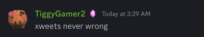 TiggyGamer's tweet photo. @dreamingofzuzie yeah but i said xweets arent wrong more recently so im right https://t.co/qzqKMlxwh5