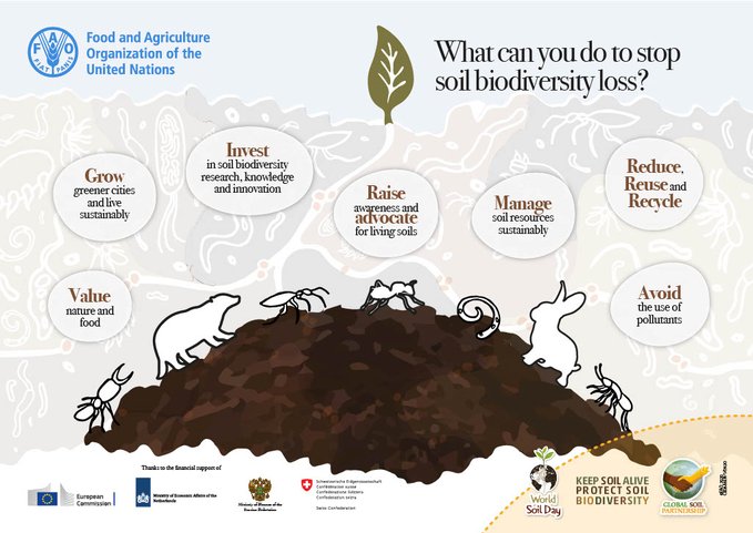 Here are 7 ways we can keep soils alive and stop #biodiversity loss. Find out more via @FAO's Biodiversity Knowledge Hub: biodiversity-hub.review.fao.org