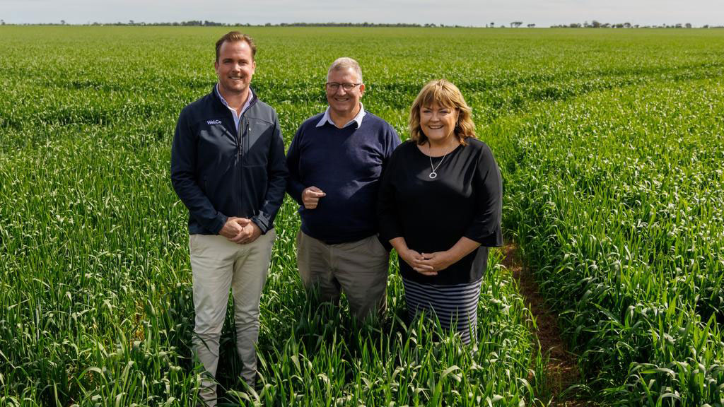 FORMER AFL footballer Andrew Welsh’s residential development group, Wel.Co has launched its $100 million Gracewood community in Mallala, north of Adelaide. #realestate #residentialproperty

australianpropertyjournal.com.au/2024/03/06/wel…