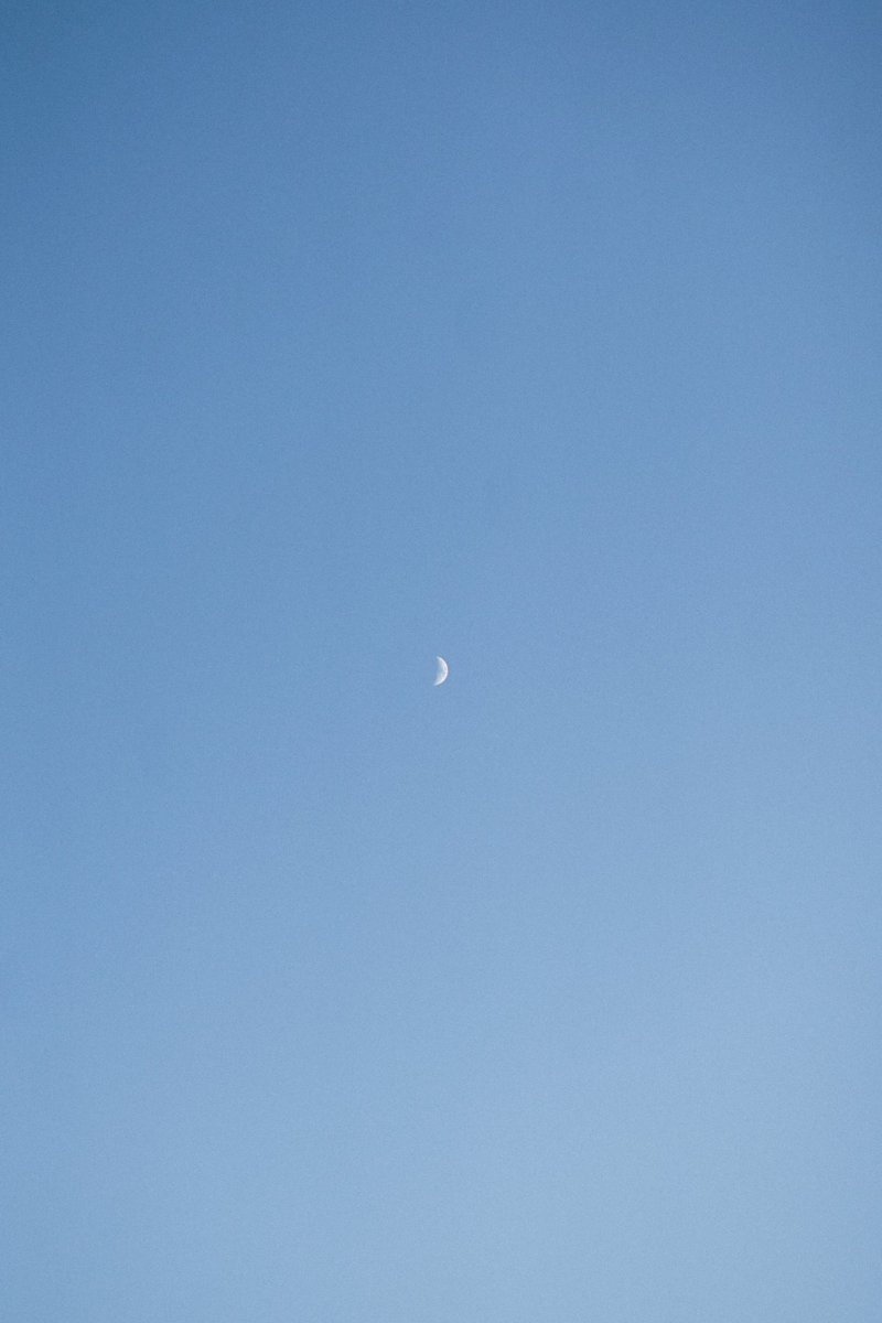camera93su's tweet photo. 私がいない世界 https://t.co/nC6mzonpdx