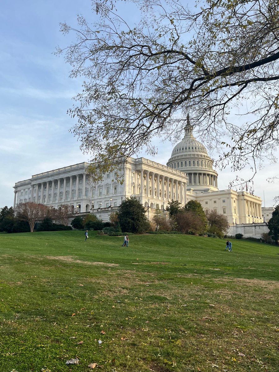 It was an absolute honor to present 2 abstracts at #AAAAI24. Attached in the post, one of the posters highlighting my work with the Pulmonary team at @Carle_org to reduce inappropriate ordering of lung function tests; and a rather pretty picture of Capitol Hill at twilight.