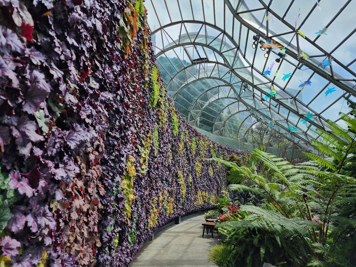 autoday's tweet photo. The Calyx
Royal Botanic Garden
Sydney Australia https://t.co/uY7X3vxgYG
