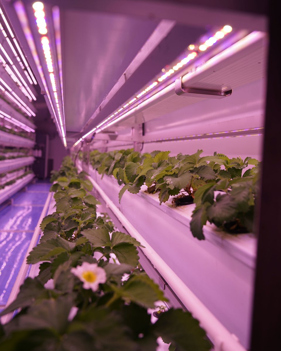 GrowSpec Biotech | Grow More Efficiently tweet media