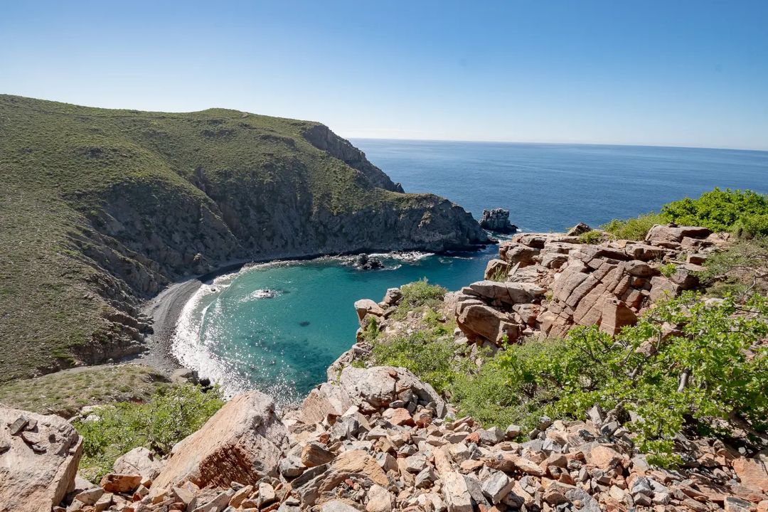VisitaLosCabos's tweet photo. #PuntaLobos nos regala una vista para compartir. Si disfrutas del senderismo, este es el lugar ideal para ti y esa persona que tanto quieres. https://t.co/ZDideW8HSU
📷fabzzhernandez https://t.co/TVG87OBzwu