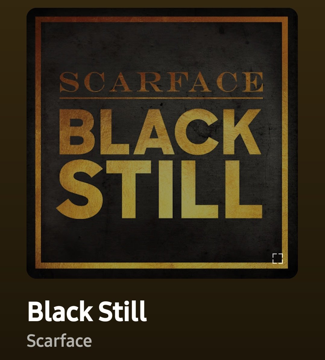 Dame Is Write tweet media