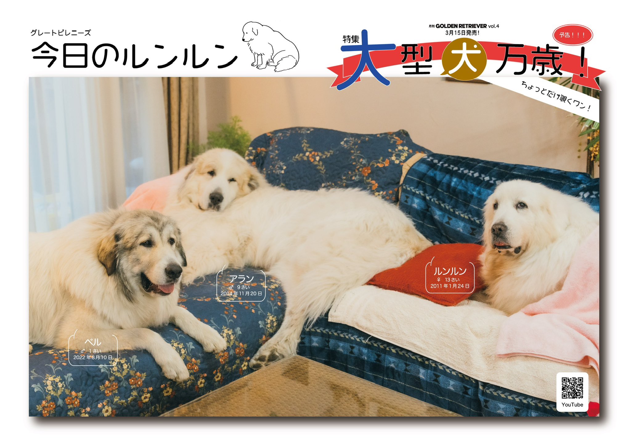 爆買いしたい 創刊号‼️〜No.48‼️抜け無し‼️レトリーバー