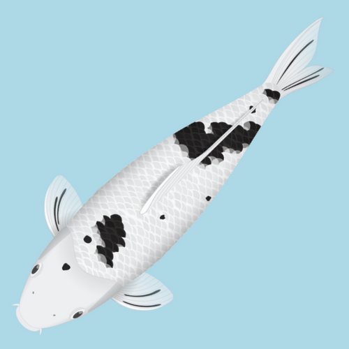 PokBiz's tweet photo. 🎉 Congratulations to @badger_vision 
for winning our latest airdrop and receiving a beautiful Bekko koi! 📷 Stay tuned for more exciting opportunities!  
#POK #PokBiz #1SatOrdinals #Ordinals #OrdinalsNFT https://t.co/uA6Dbo0nUw
