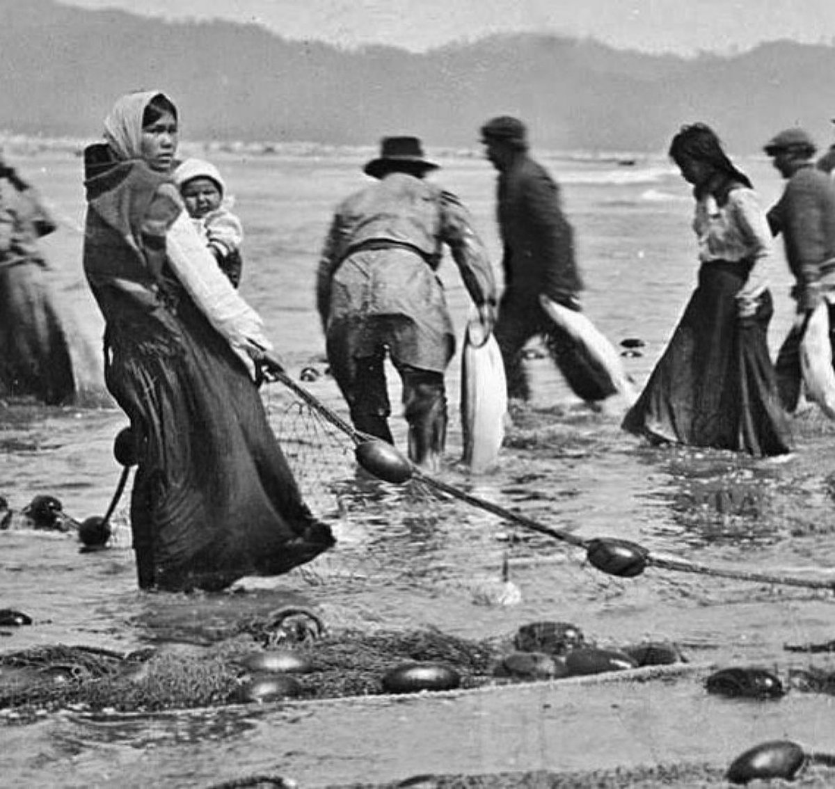 chinook_nation's tweet photo. The tribes of the Chinook Indian Nation were never removed from our lands at the mouth of the Columbia River. 

Our sovereignty springs from this unbroken connection. 

Our culture must be allowed to thrive and Chinook must be federally recognized. #chinookjustice https://t.co/wNoe2EiV7o