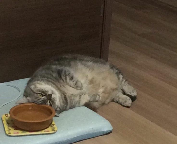 มะอยากทำงาน อยากนอนโง่ๆ นิ่งๆ