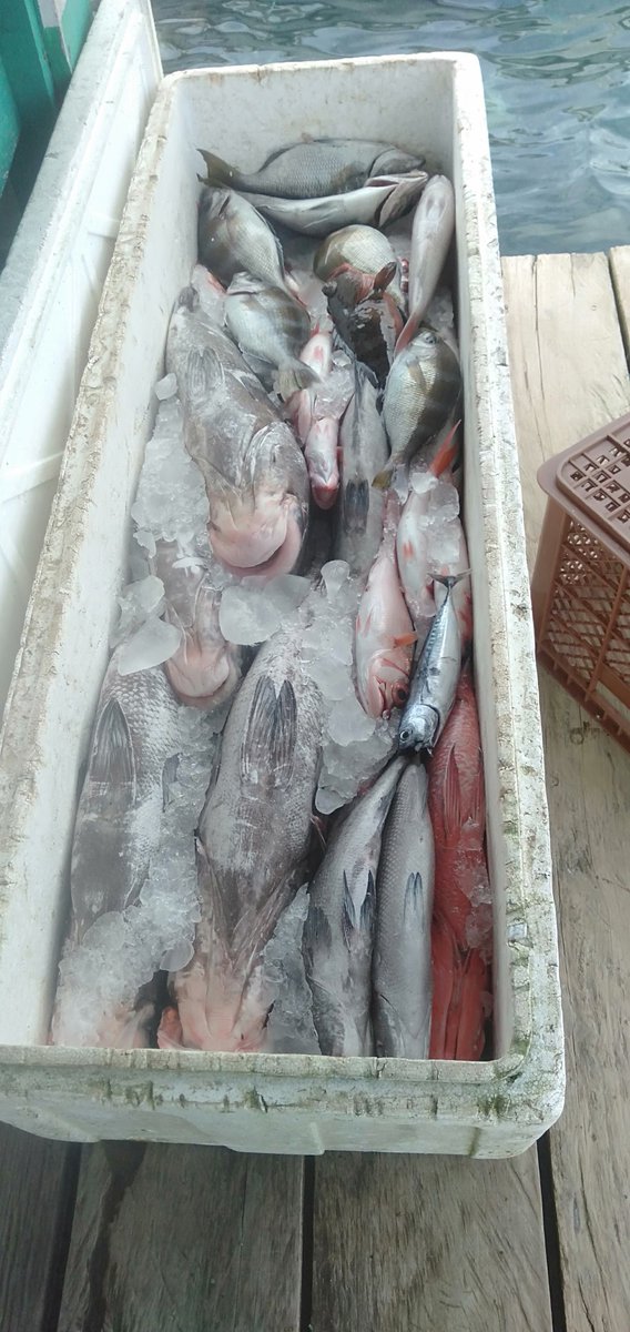 Abil_Ibil's tweet photo. Kamis 07/03/24,Abdul Yusup Tiapon,Luhkan Kab Halmahera Tengah, dengan bpk kelompok Askar 1 Nelayan Desa Loleo, Hasil tangkap ikan kakap merah kristal 6 kg dan kakap 79 kg #GiatLuhkanSatminkalAmbon
#LuhLapor #Halteng @BP3_Ambon https://t.co/uvCQ3Roa9U